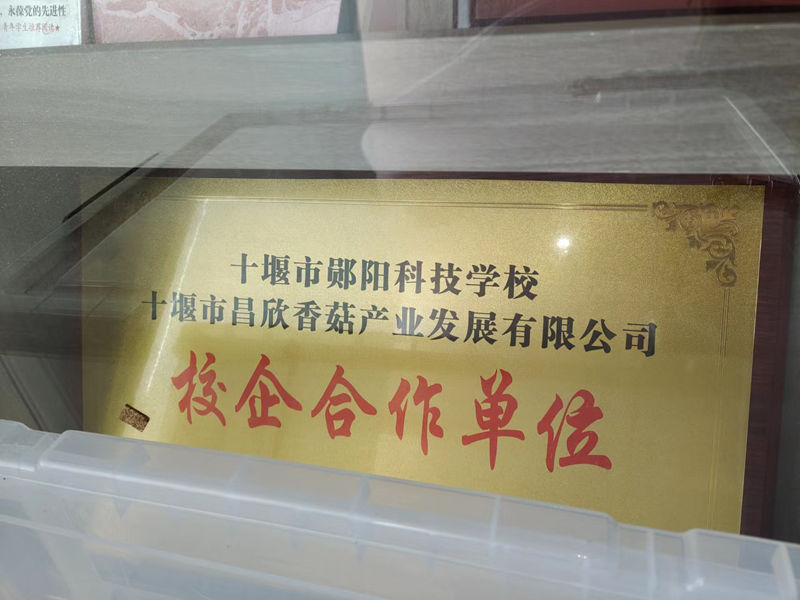 校企相助单位
