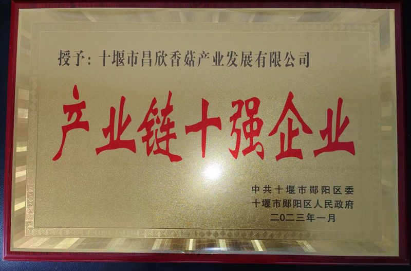 工业链十强企业