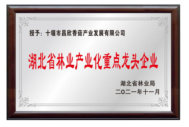 湖北省林业工业化重点龙头企业