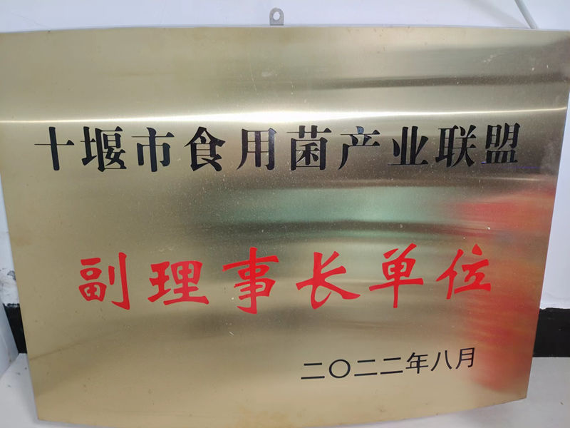 十堰市食用菌工业同盟副理事长单位